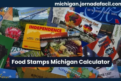 Food Stamps Michigan Calculator – EBT and SNAP benefit cards across U.S. states