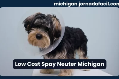 Low cost spay and neuter services in Michigan for dogs and cats